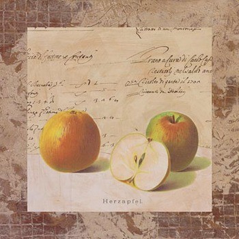 Umělecký tisk Apple Archive