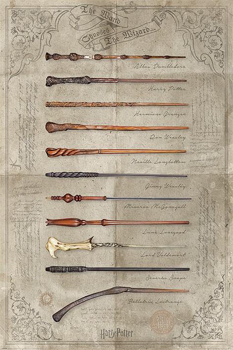 Plakát, Obraz - Harry Potter - The Wand Chooses The Wizard, 61x91 cm