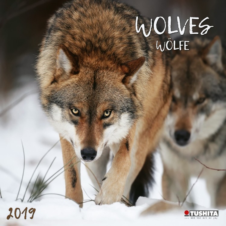 Kalender 2027 Wolves