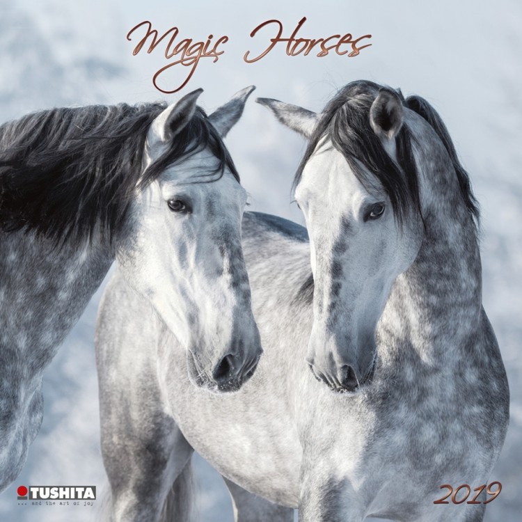 Kalendár 2027 Magic Horses