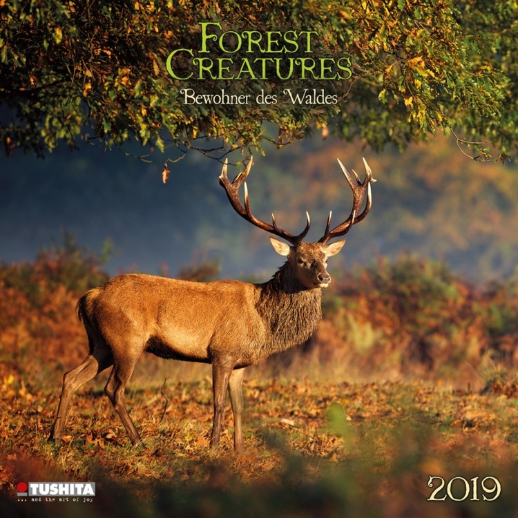 Calendar 2027 Forest Creatures