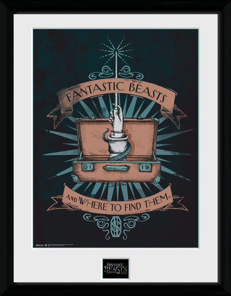 Ingelijste poster Fantastic Beasts - Illustration