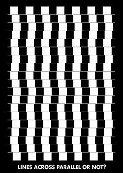 Poster Lines across parallel or nor?