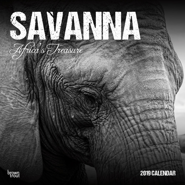 Calendario 2027 Savanna - Africas Treasure