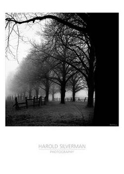 Kunstdruk Black And White Morning