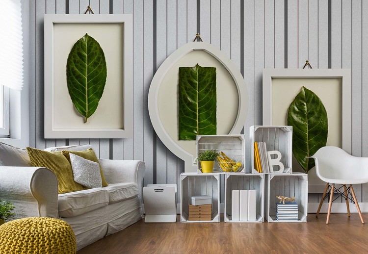 Fototapeta Framed Nature