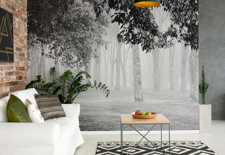 Fototapeta Morning Fog