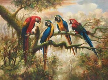 Kunstdruk MACAW MORNING