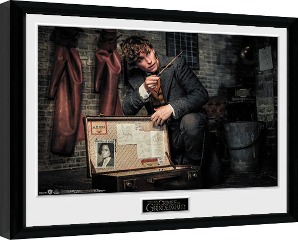 Poster înrămat Fantastic Beasts 2 - Newt Suitcase