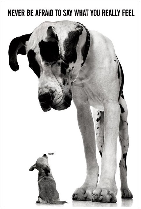 Poster Never be afraid to say what you relly feel