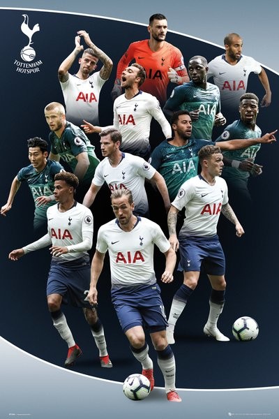 Plakát Tottenham Hotspur - Players 18-19