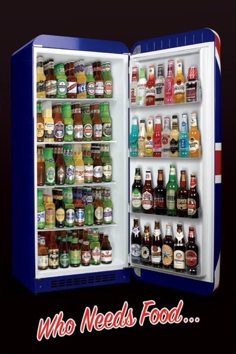 Plakát Who needs food fridge full