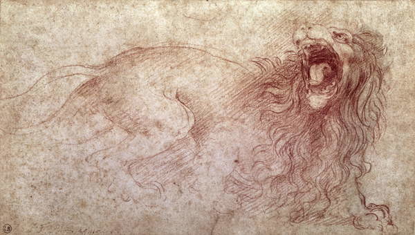 Obrazová reprodukce Sketch of a roaring lion, Leonardo da Vinci, 40 × 22.2 cm