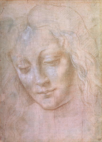 Leonardo da (school of) Vinci - Obrazová reprodukce Leonardo da Vinci - Hlava ženy, (30 x 40 cm)