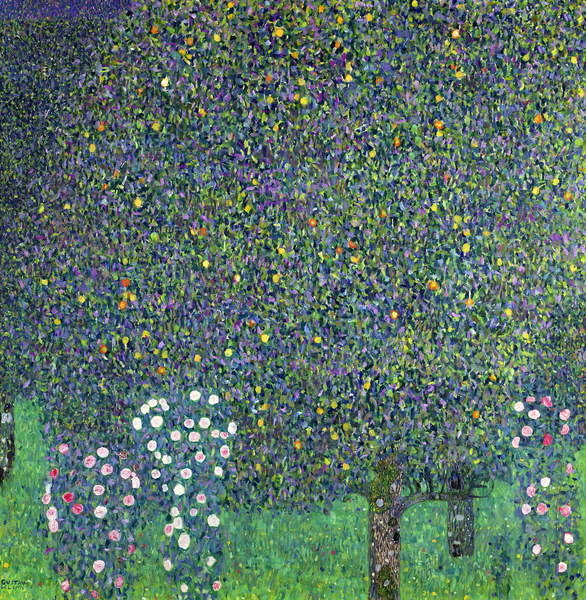 Obrazová reprodukce Roses under the Trees, c.1905, Gustav Klimt, 40x40 cm