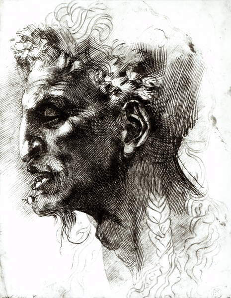 Levně Plakát, Obraz - Head of a Satyr (pen & ink on paper), Michelangelo Buonarroti, 30 × 40 cm