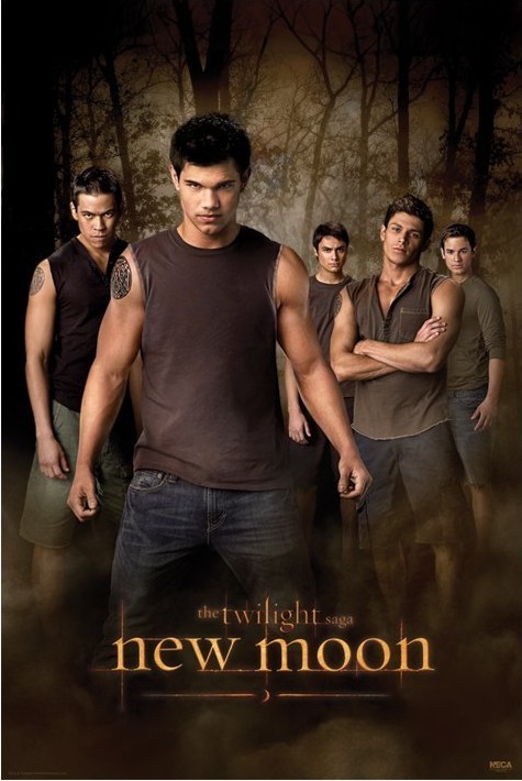 Poster TWILIGHT NEW MOON - wolf pack
