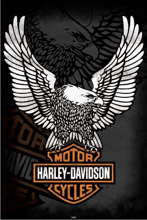 Poster Harley Davidson - eagle