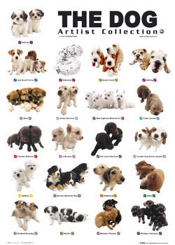 Plakat The dog puppies Poster an der Wand 3+1 GRATIS