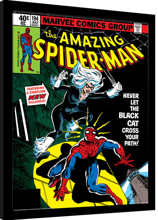 Ingelijste poster Spider-Man - Black Cat