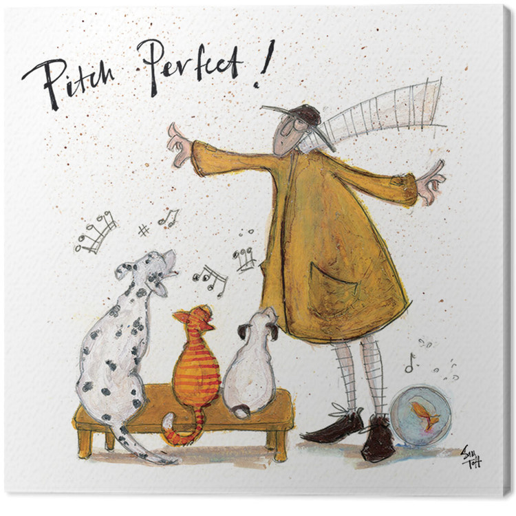 Bilde på lerret Sam Toft - Pitch Perfect