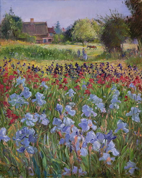 Levně Plakát, Obraz - Entrance to Burgate Green, Timothy Easton, 30 × 40 cm
