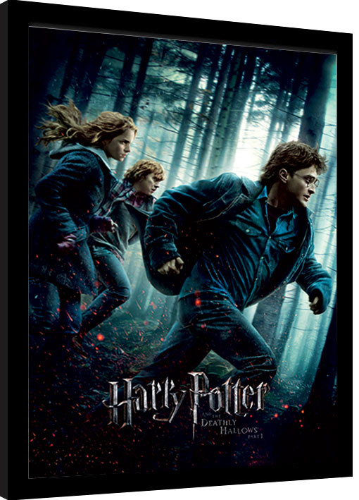 Obraz na zeď - Harry Potter - Deathly Hallows Part 1