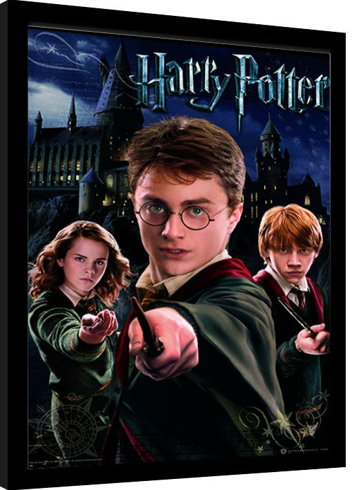 Ingelijste poster Harry Potter - Harry Ron Hermione