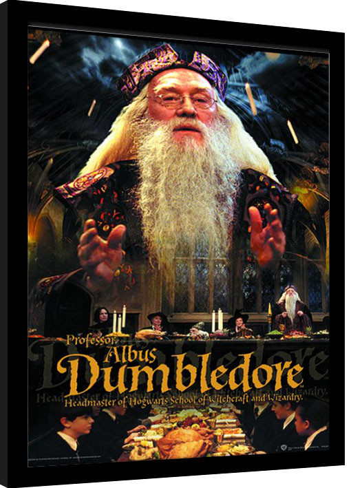 Inramad poster Harry Potter - Dumbledore