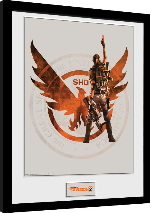 Framed Poster The Division 2 - SHD
