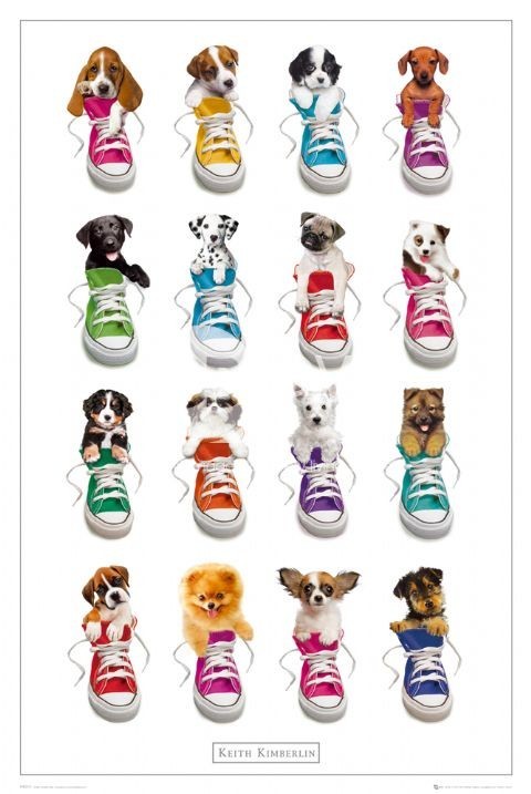 Poster Keith Kimberlin – sneakers