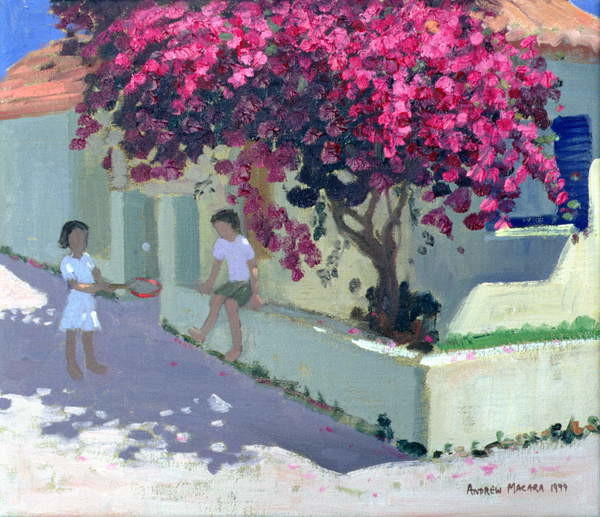 Levně Plakát, Obraz - Bougainvillaea, Zante, 1999, Andrew Macara, 40 × 34.4 cm