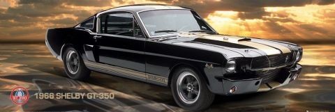Poster Ford Shelby
