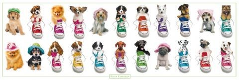 Poster Keith Kimberlin - sneakers and hats