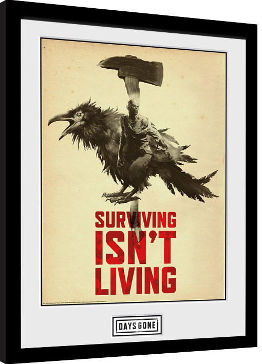 Framed Poster Days Gone - Crow