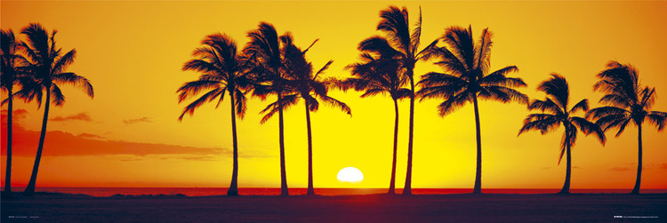 Poster Hawaiian - Sunset