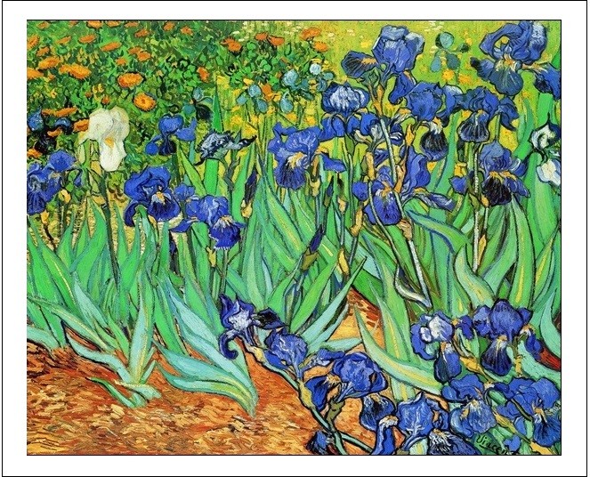 Kunstdruk Irises, 1889