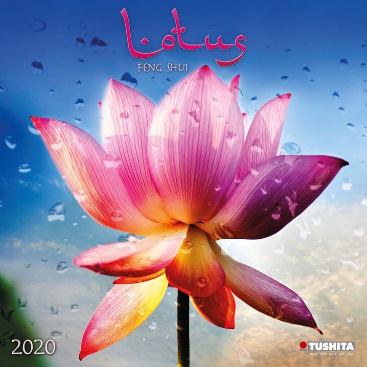 Calendario 2027 Lotus Feng Shui