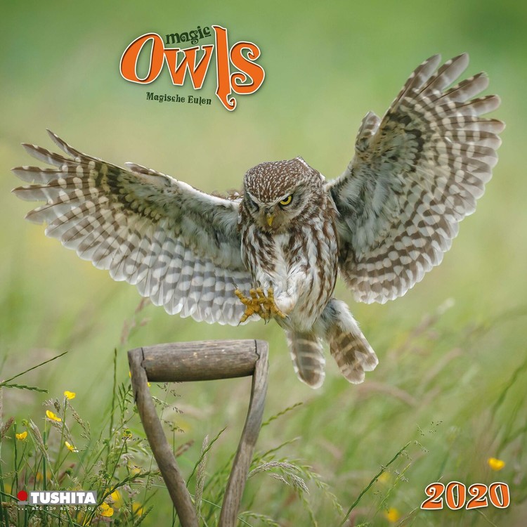 Naptár 2027 Magic Owls