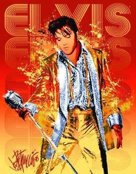 Plechová cedule EVIS PRESLEY - gold lame suit