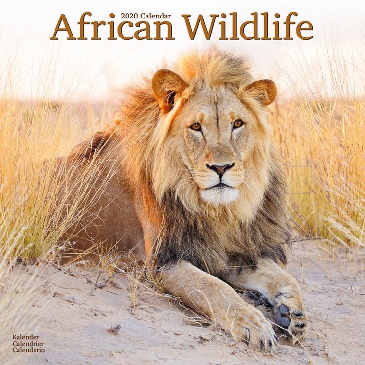 Calendario 2027 African Wildlife