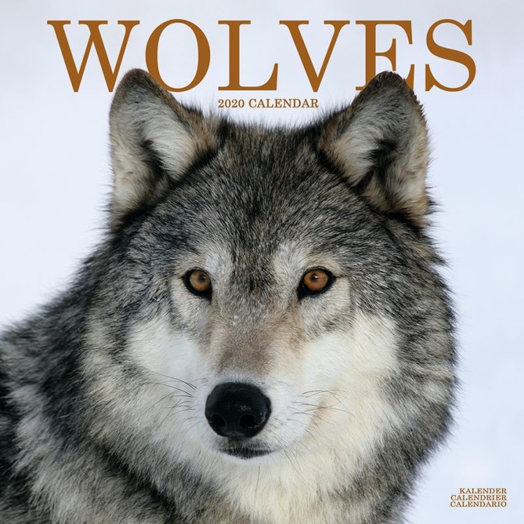 Calendar 2027 Wolves