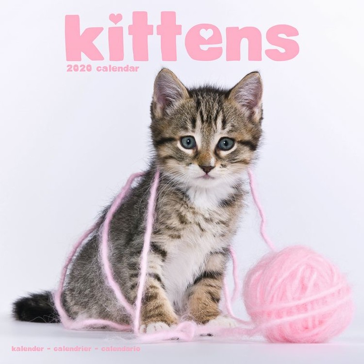 Calendar 2027 Kittens