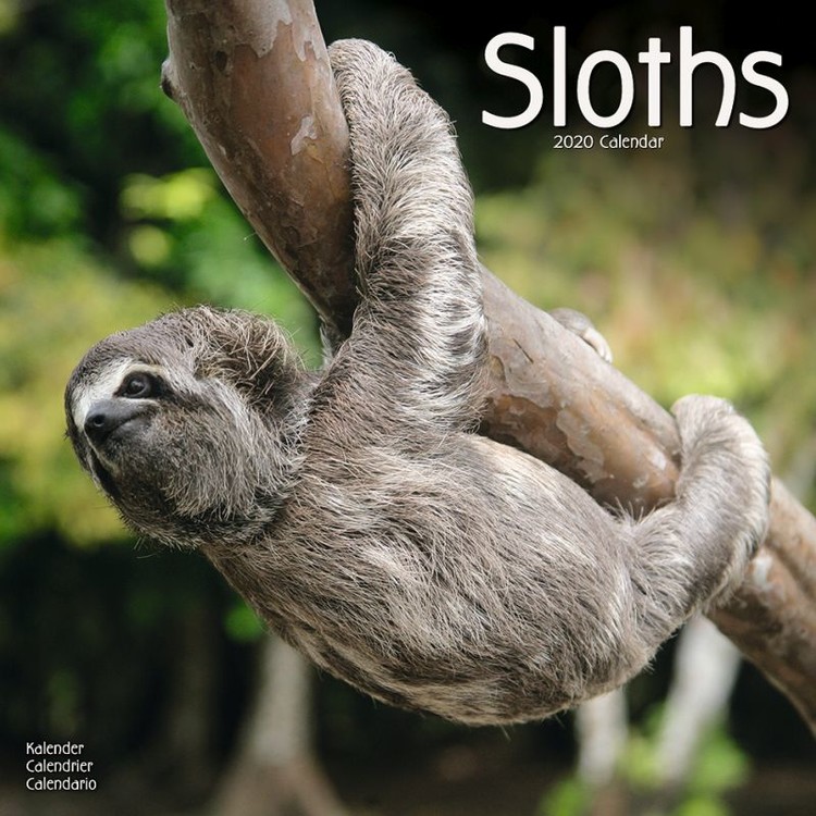 Naptár 2027 Sloths