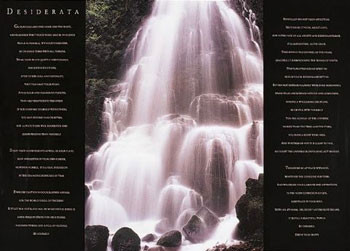 Poster Motivational - desiderata