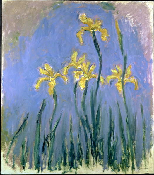 Plakát, Obraz - Yellow Irises; Les Iris Jaunes, c.1918-1925, Monet, Claude, 35.1 × 40 cm
