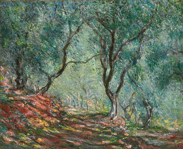 Obrazová reprodukce Olive Trees in the Moreno Garden; Bois d'oliviers au jardin Moreno, Monet, Claude, 40x35 cm