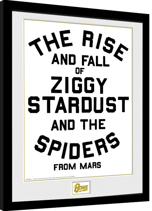 Gerahmte Poster David Bowie - The Rise and Fall