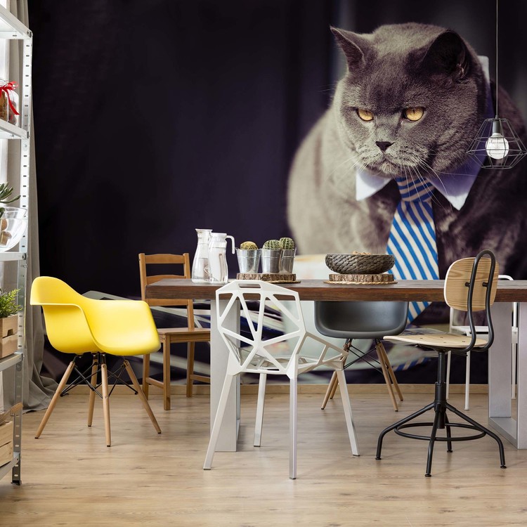 Fototapeta Cat Boss