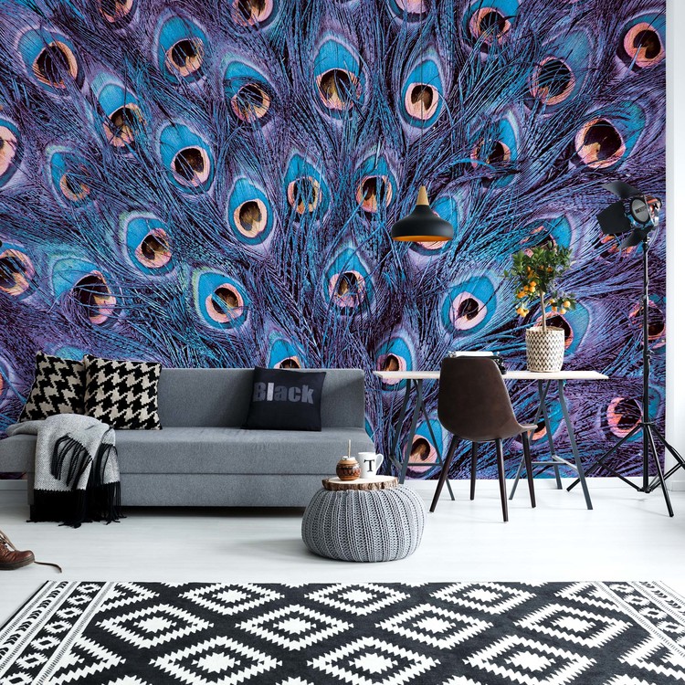 Fototapeta Peacock Feathers Blue And Purple